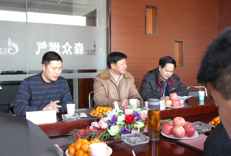 林口县政府与拼搏在线注册入口-拼搏(中国)燃气项目洽谈.png
